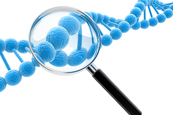 Magnifying glass over a DNA double helix